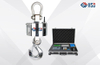 HSD Hanging Crane Scales