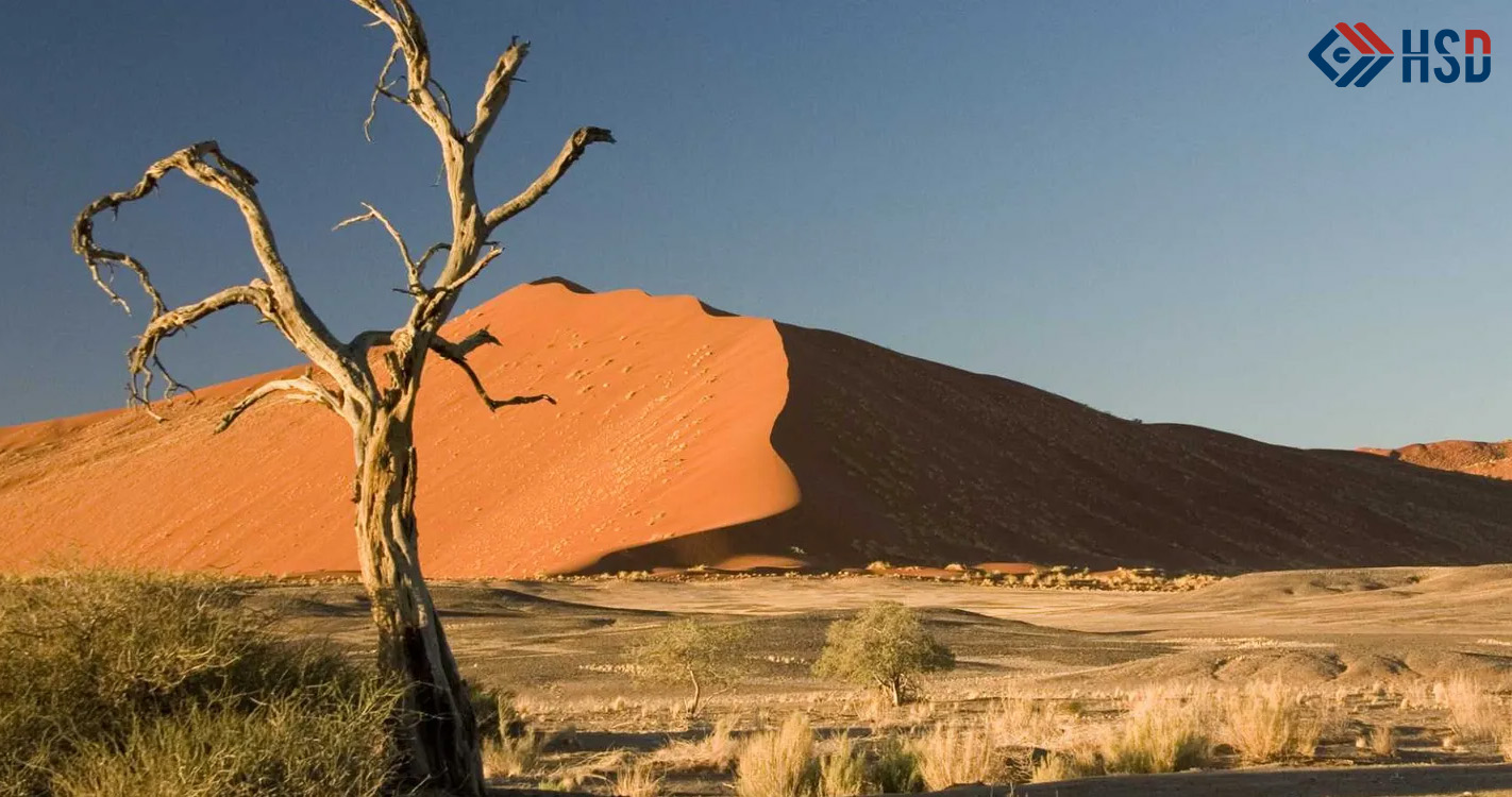 1沙漠地区场景图