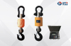 HSD Hanging Crane Scales